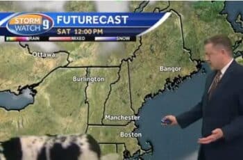 An Adorable Dog Strolling Through a Live Forecast