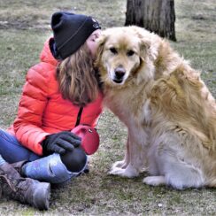 Do Therapy Dogs Like Their Jobs