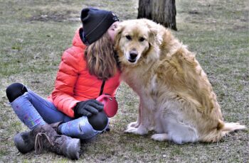 Do Therapy Dogs Like Their Jobs