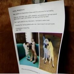 Woman Posts an Apology on the Door to Explain Her Dog