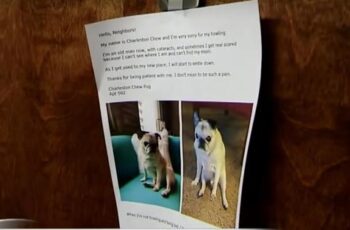 Woman Posts an Apology on the Door to Explain Her Dog