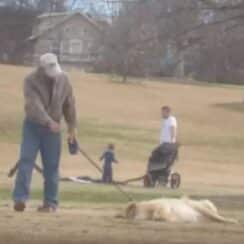 [VIDEO] Dog Plays Dead To Keep Owner At Park