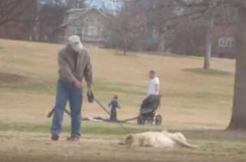 [VIDEO] Dog Plays Dead To Keep Owner At Park