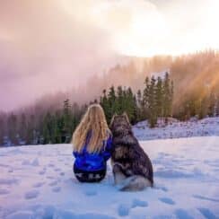 Woman Rescued a Husky and Saved Her From an Abusive Relationship