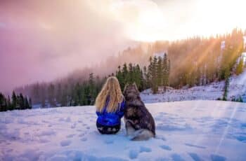 Woman Rescued a Husky and Saved Her From an Abusive Relationship