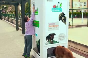 This Vending Machine Gives Stray Dogs Food for Bottles