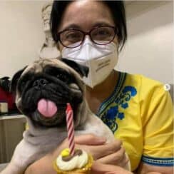 Immediately After Testing Negative For COVID-19, The Philippine Vice President Celebrates Her Dog's Birthday