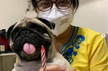 Immediately After Testing Negative For COVID-19, The Philippine Vice President Celebrates Her Dog's Birthday