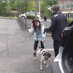 [VIDEO] A Live TV Reporter Spots a Stolen Puppy Thief