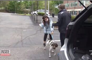 [VIDEO] A Live TV Reporter Spots a Stolen Puppy Thief