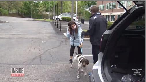 [VIDEO] A Live TV Reporter Spots a Stolen Puppy Thief