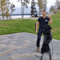 [VIDEO] The Dogs Steal the Show During the 'Jerusalema Dance Challenge' by Handlers