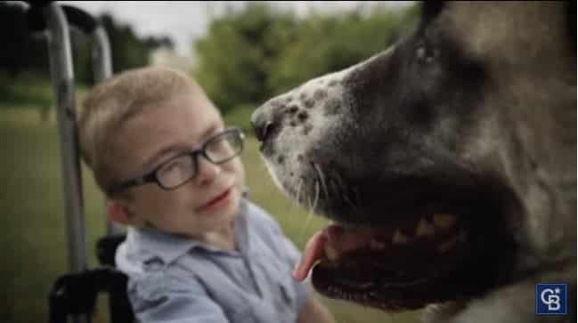 English Boy With Rare Genetic Disorder Finds Comfort And Support From Three-Legged Rescue Dog2