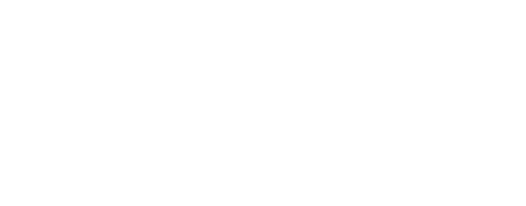 Pooch Fun